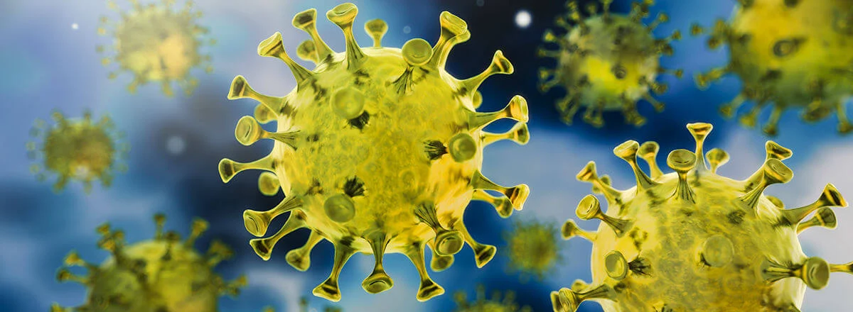 Various type of bacteria caused by pests
