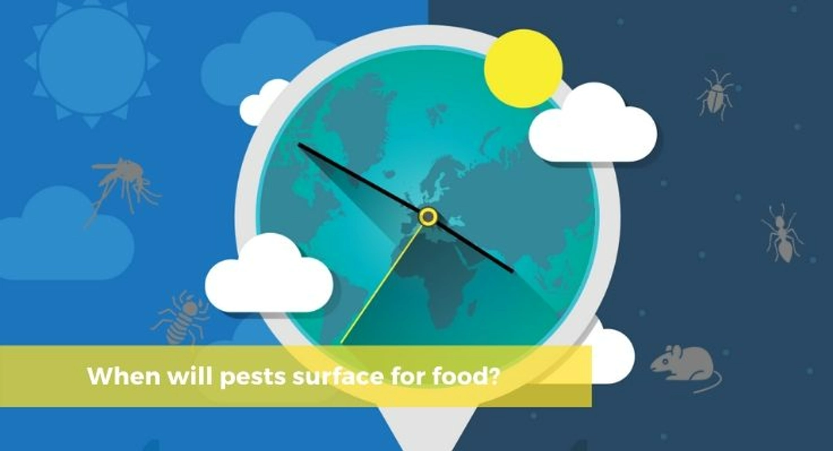 Debugged Blog Article Do You Know Water Attract Pests When Will Pests Surface For Food
