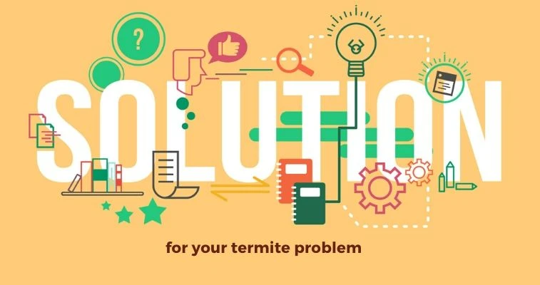 Termite Control Solution