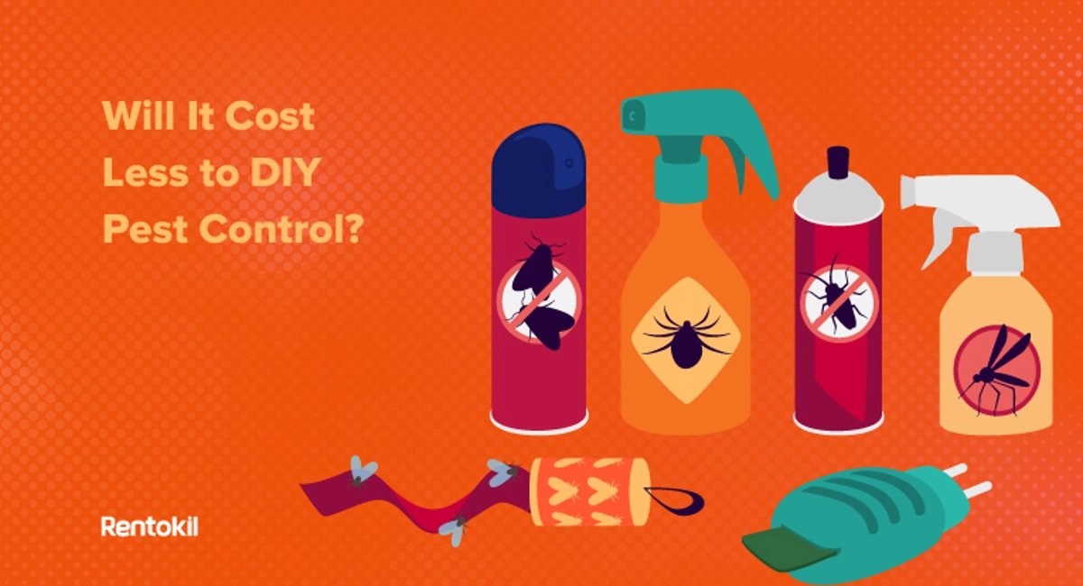 DIY pest control cost