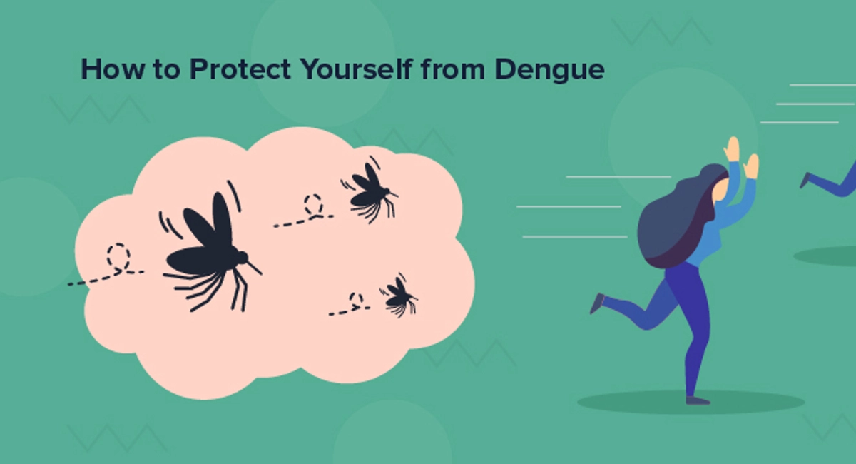 Debugged Blog Facts of Dengue Cluster In Singapore Dengue Precautionary Measures