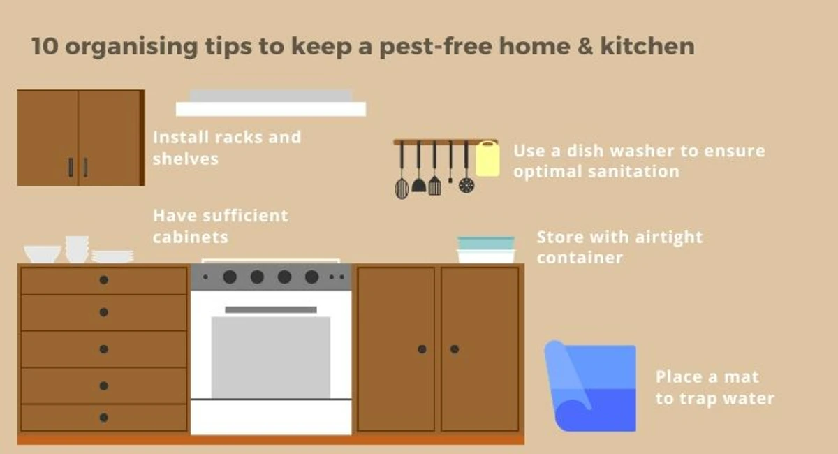Debugged Blog 10 Organising Tips For A Pest Free Home Ways to Organise Home