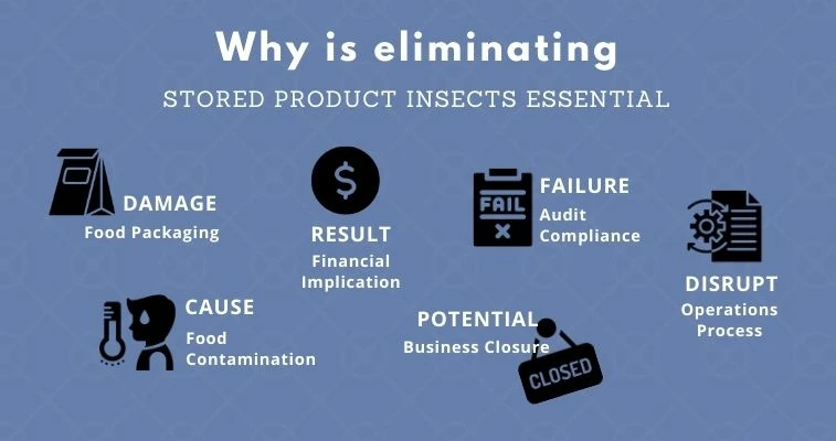 Why is Pest Control Essential