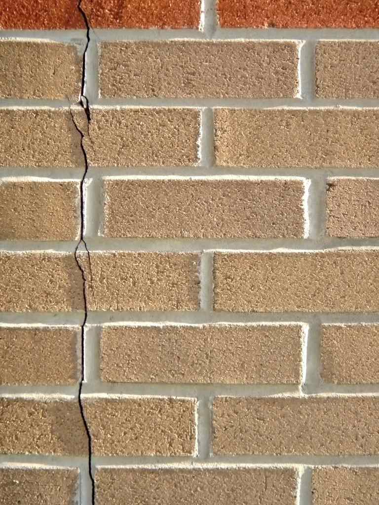 Debugged Blog Why Pest Proofing Is Important During Covid 19 Pests Enter Through Ventilators