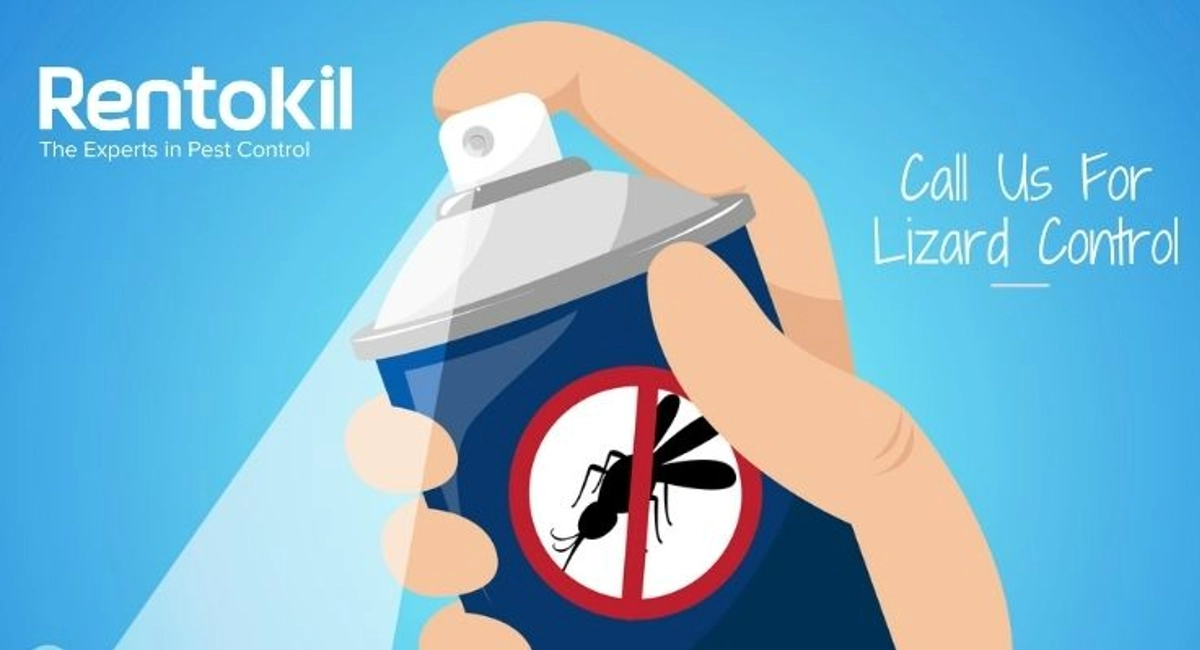 Debugged Blog Five Reasons We Dislike Lizards Services