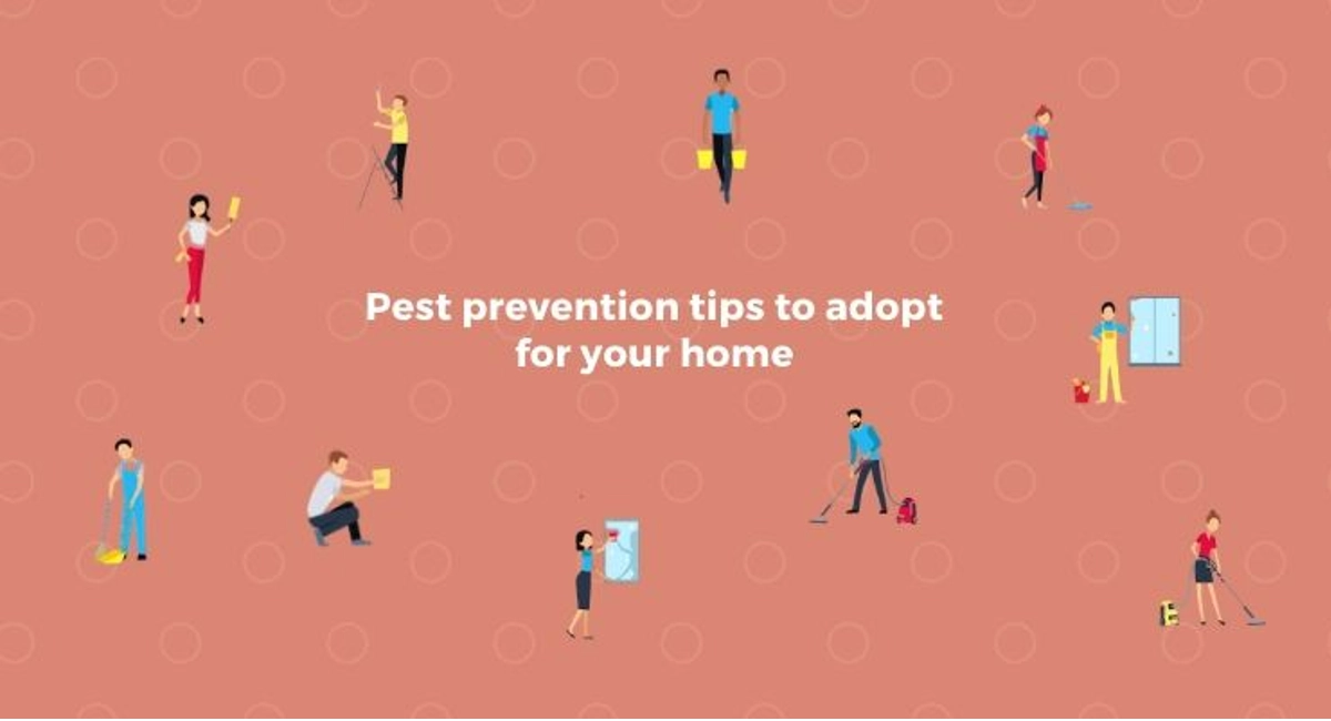 Debugged Blog 10 Organising Tips For A Pest Free Home Pest Prevention Tips