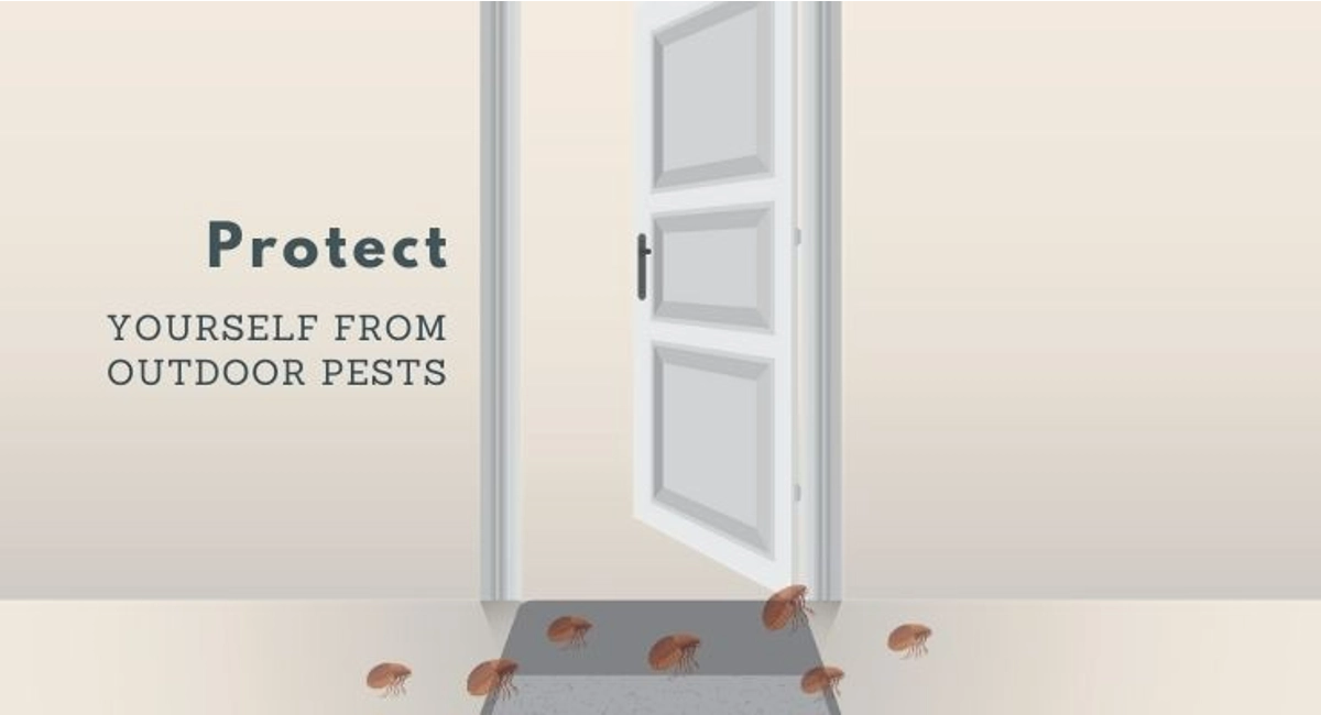 Debugged Blog 5 Outdoor Pests To Lookout For Protect Yourself From Outdoor Pests