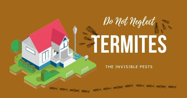 Do Not Neglect Termites