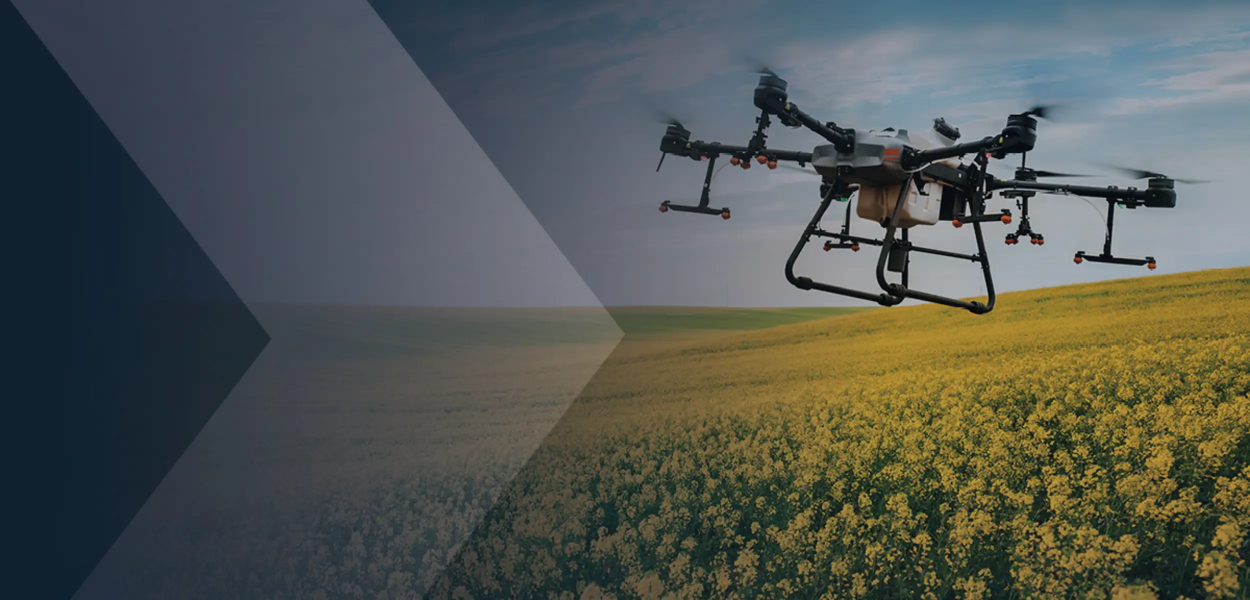 Drone up the sky