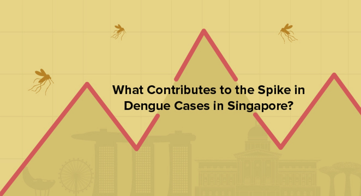 Debugged Blog Eight Facts of Dengue and Mosquito Control Active Dengue Season