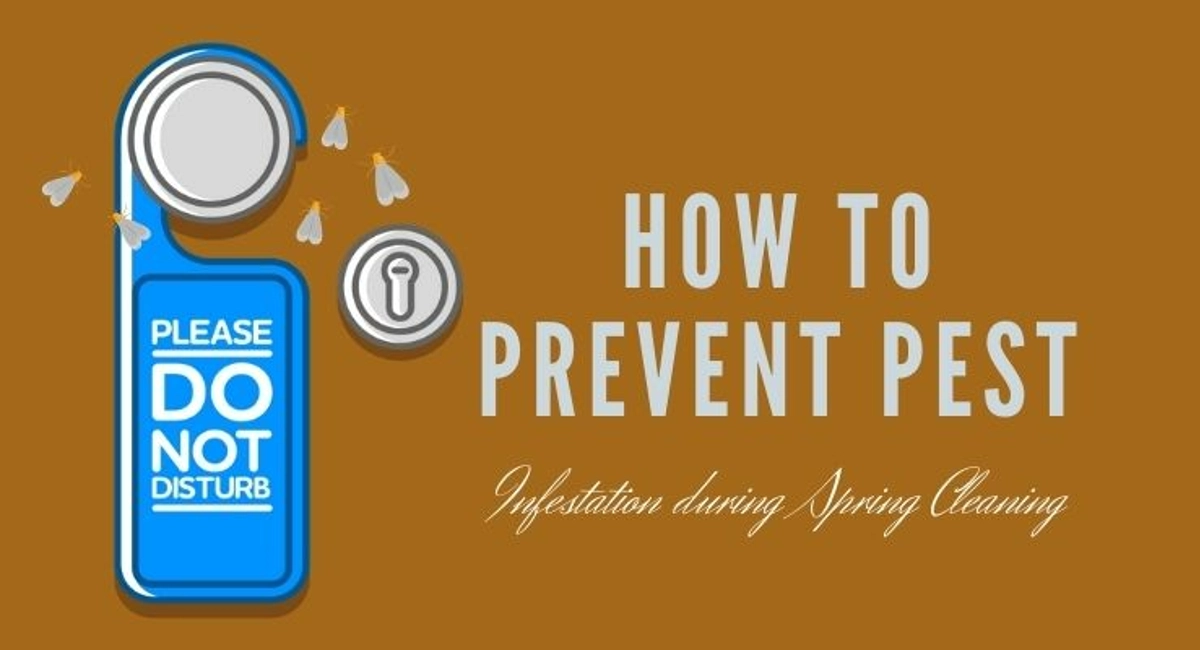 Debugged Blog Spring Cleaning Tips Methods To Keep Pests Away