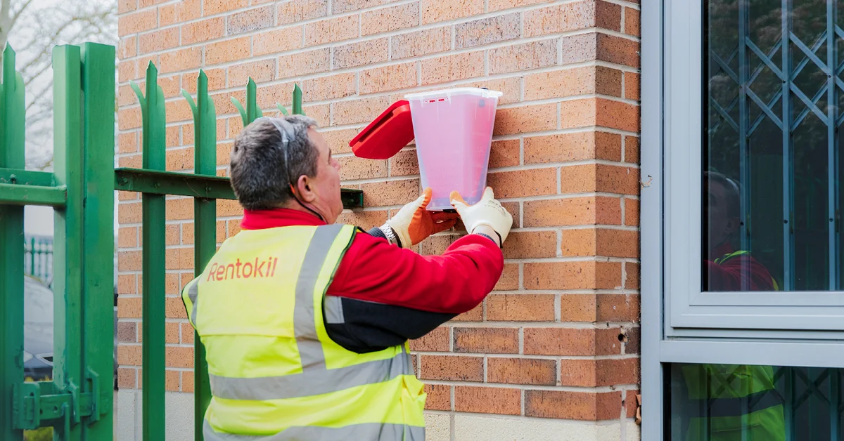 EcoCatch Vliegen installatie door Rentokil medewerker