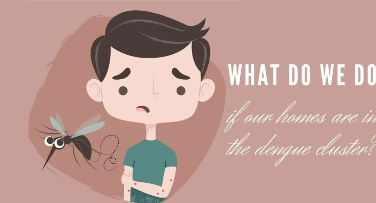 Debugged Blog Five Reasons Why We Do Not Like Mosquitoes Managing Dengue Cluster