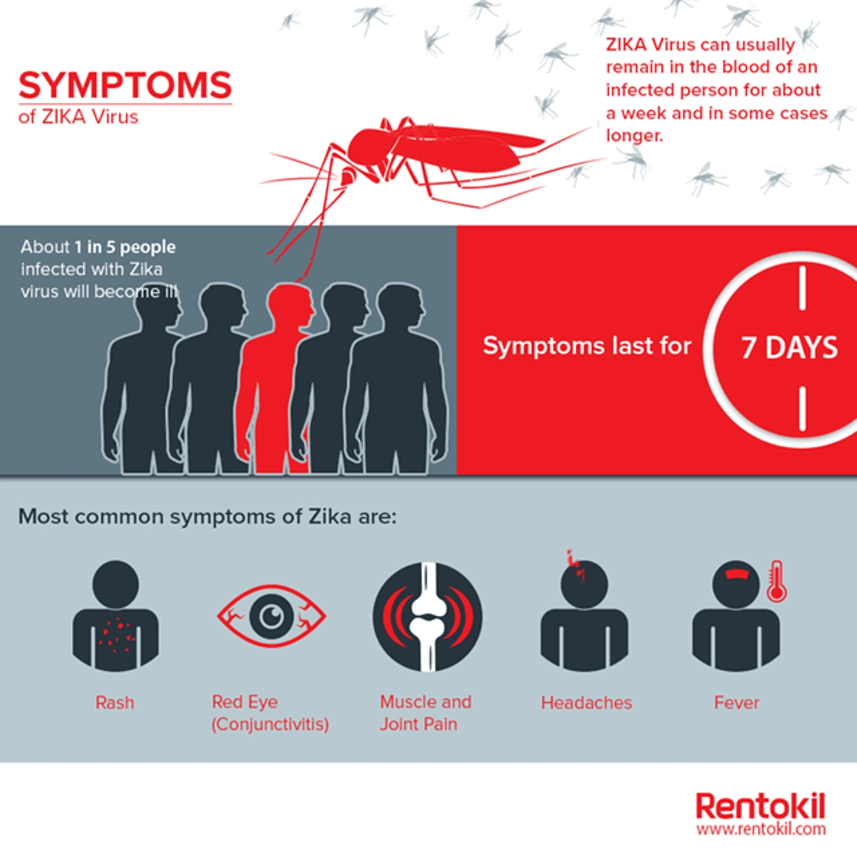 Symptoms of Zika Virus
