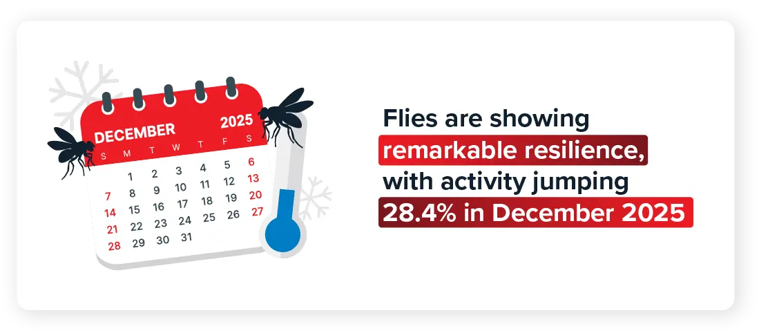 Flies are showing remarkable resilience, with activity jumping 28.4% in December 2025
