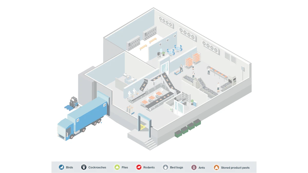 Food processing