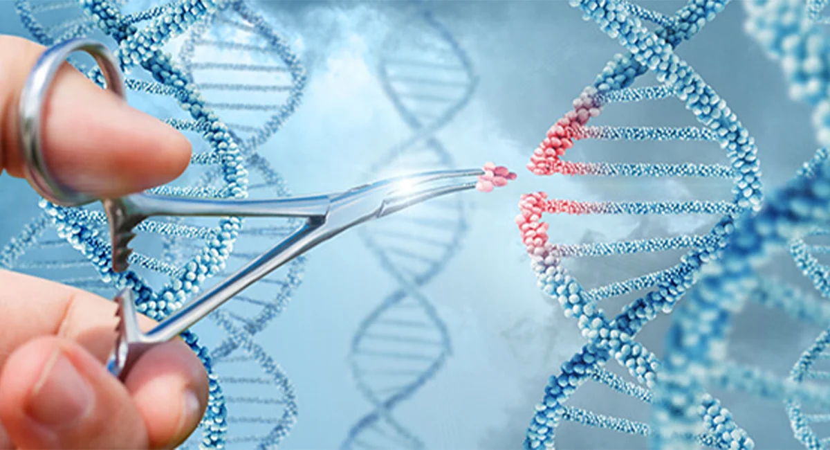 DNA of mosquitoes