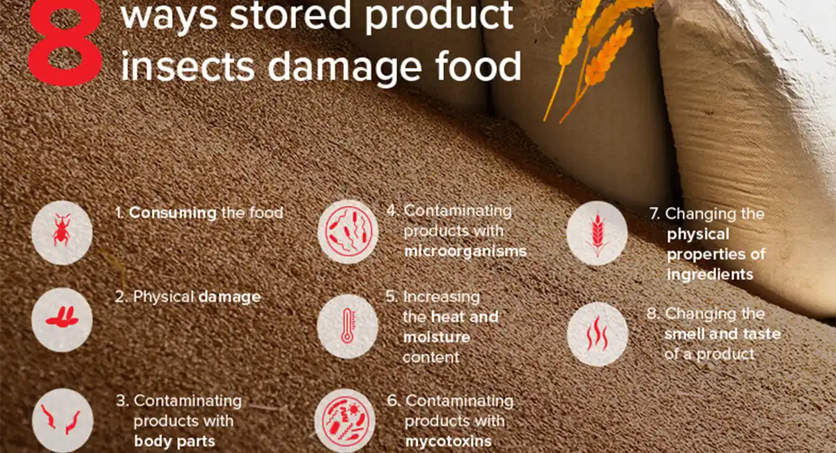 8 ways SPIs damage food