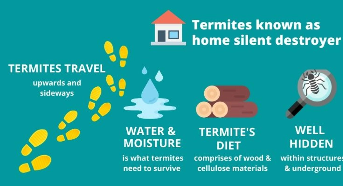 Debugged Blog Article Essential Guide to Home Pest Control Termite Known As Silent Destroyer