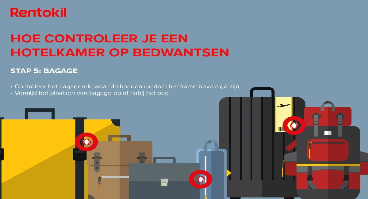 Stap 5 - Bagage