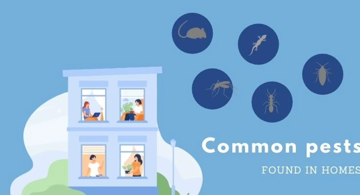 Debugged Blog Top 7 Food In Your Home That Attract Pests Common Household Pests