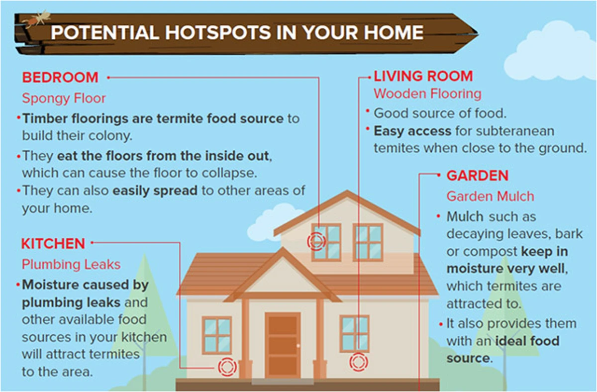 Potential termite hotspot in your home