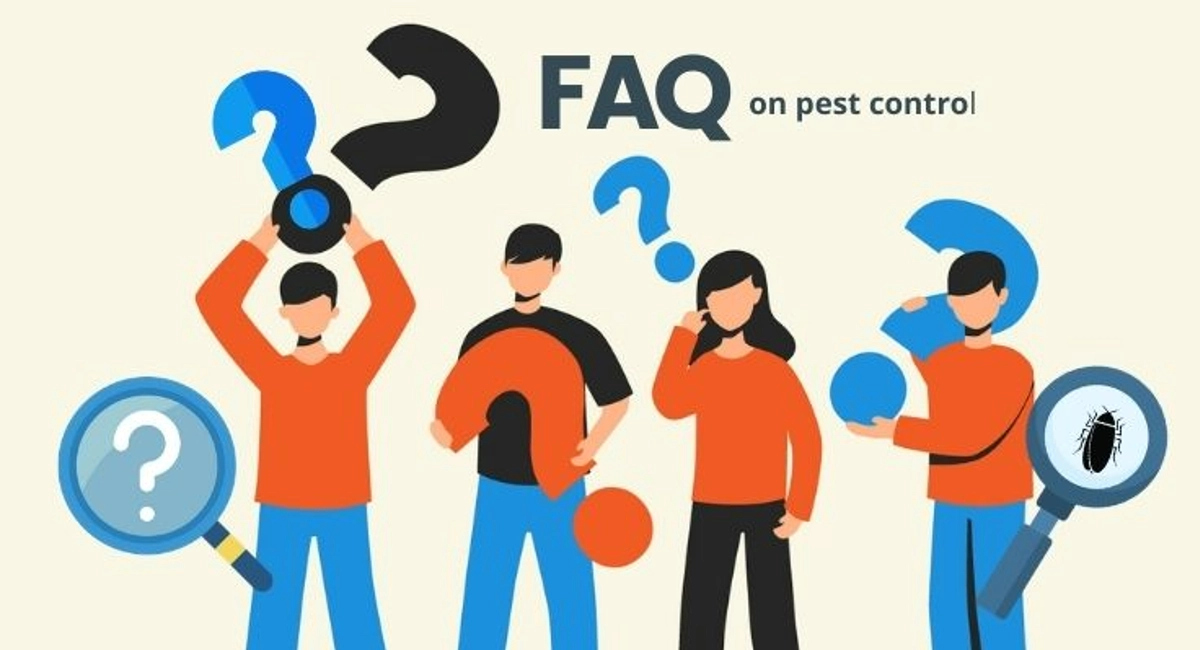 Debugged Blog What Do Most Pests Have In Common FAQ