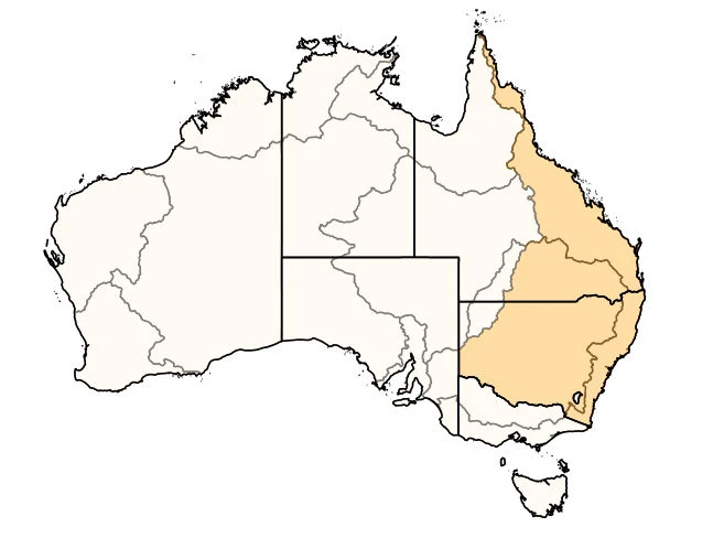 Distribution Nasutitermes walkeri