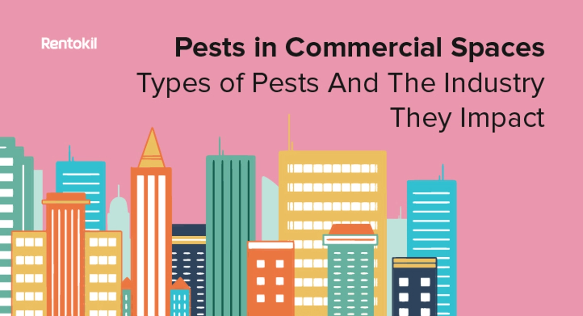 Pests in Commercial Spaces