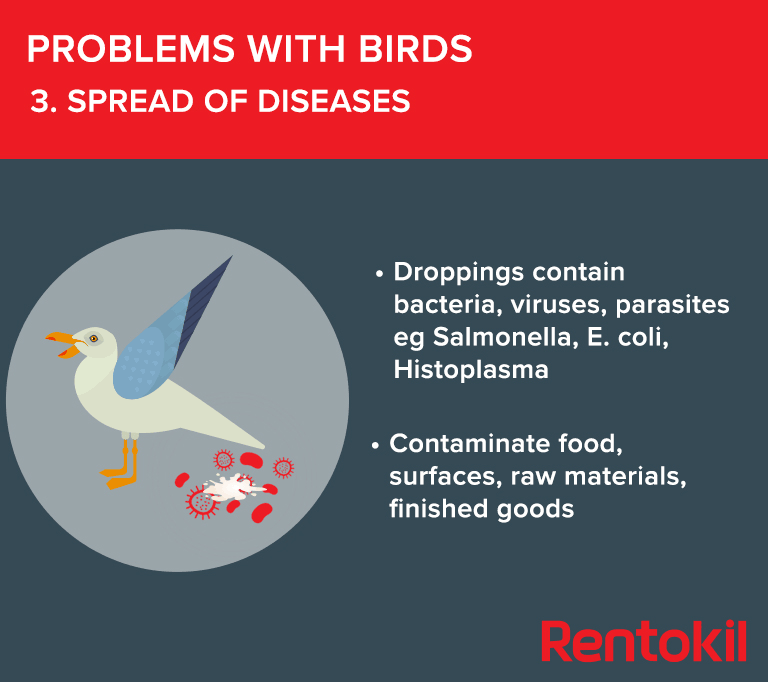 Spread of disease