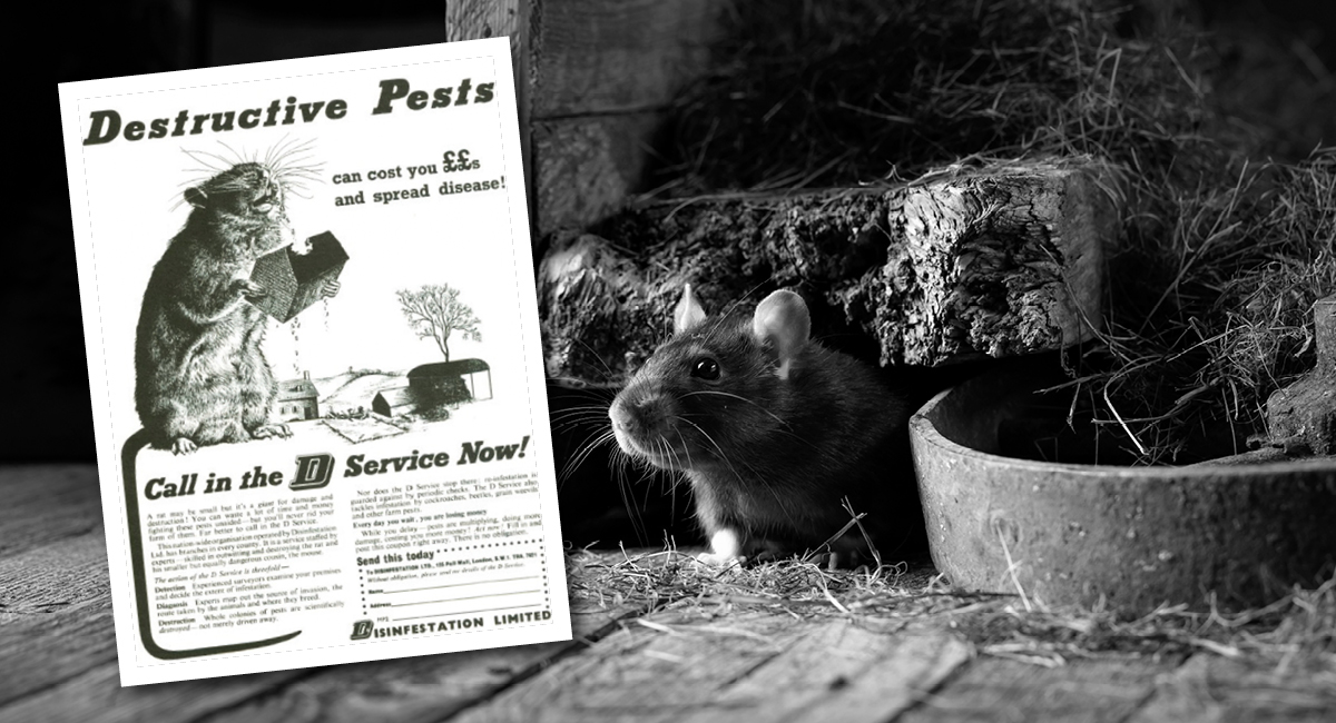 Mouse traps in ancient Egypt