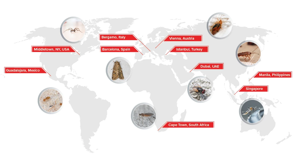 Implications of building a global pest control database