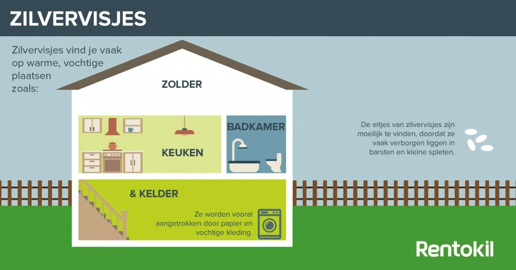 Wat is de oorzaak van zilvervisjes?