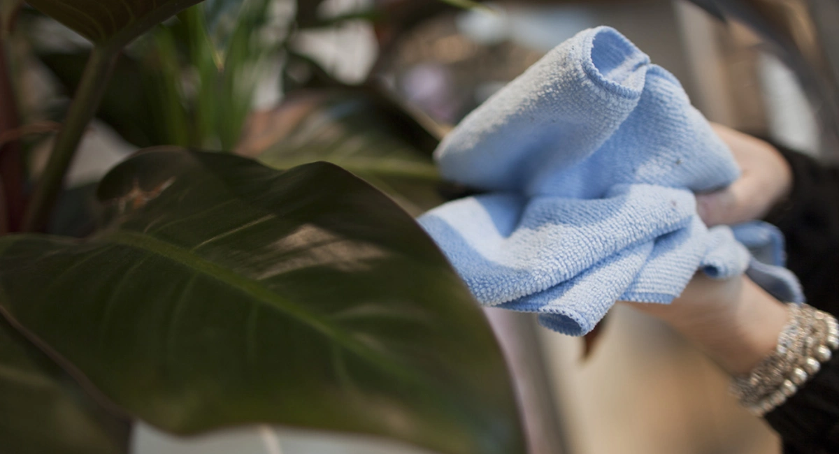 Debugged Blog 5 Ways of Cleaning and Sanitising Surfaces Clean Surface With Wet Towel