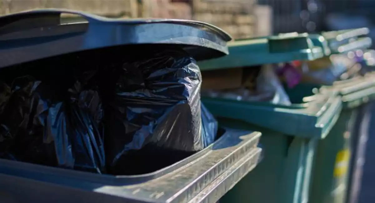 Trash bins full with waste